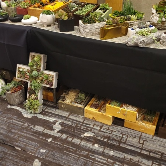 Succulents unique hand made artistic - Picture 5 of 7